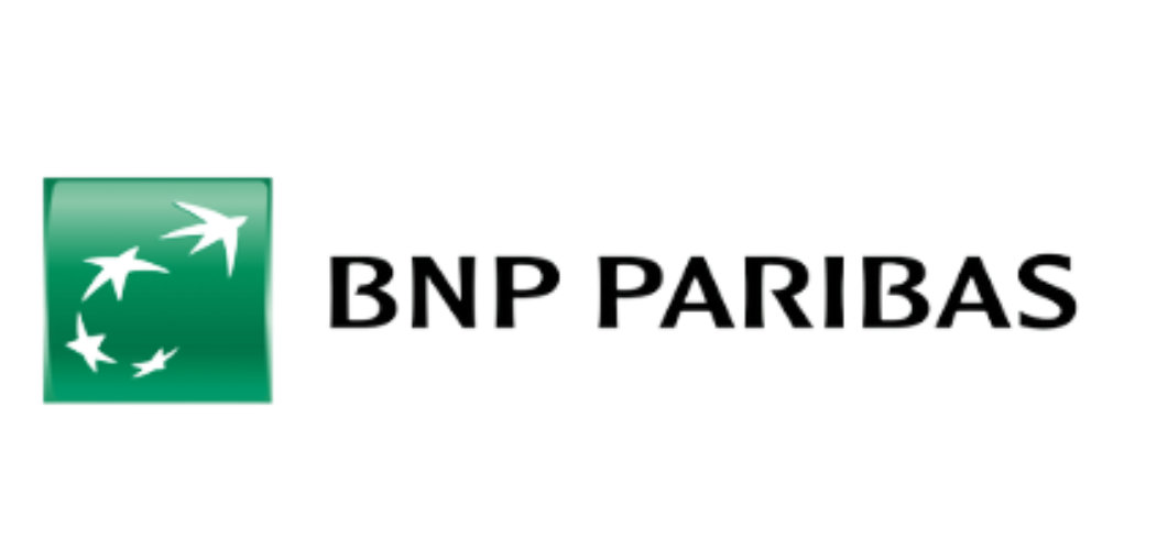 BNP gardiennage